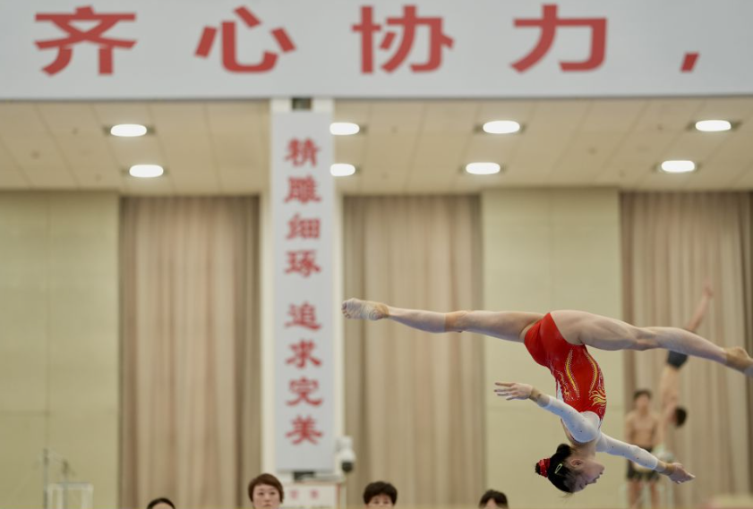 乐鱼体育全站全方位解析热门体育赛事